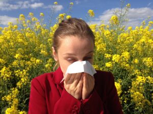 Allergie, Heuschnupfen